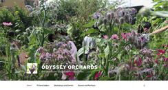 Desktop Screenshot of odysseyorchards.org